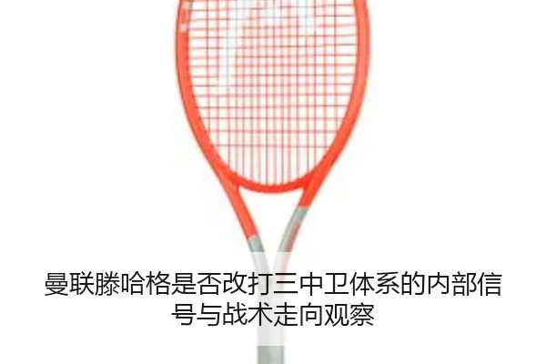 man-lian-teng-ha-ge-shi-fou-gai-da-san-zhong-wei-ti-xi-de-nei-bu-xin-hao-yu-zhan-shu-zou-xiang-guan-cha-2-295.jpg
